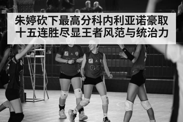 Italian volleyball league match