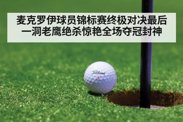 麦克罗伊球员锦标赛终极对决最后一洞老鹰绝杀惊艳全场夺冠封神