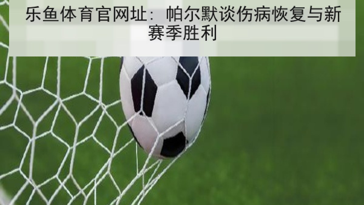 乐鱼体育官网址: 帕尔默谈伤病恢复与新赛季胜利