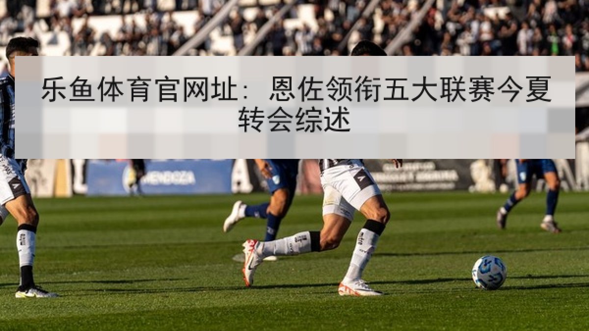 乐鱼体育官网址: 恩佐领衔五大联赛今夏转会综述 乐鱼体育官网址: 恩佐领衔五大联赛今夏转会综述
